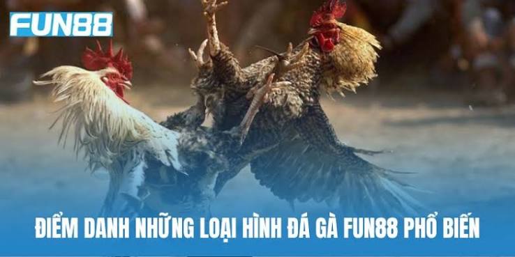 Tổng Quan Về Đá Gà Fun88